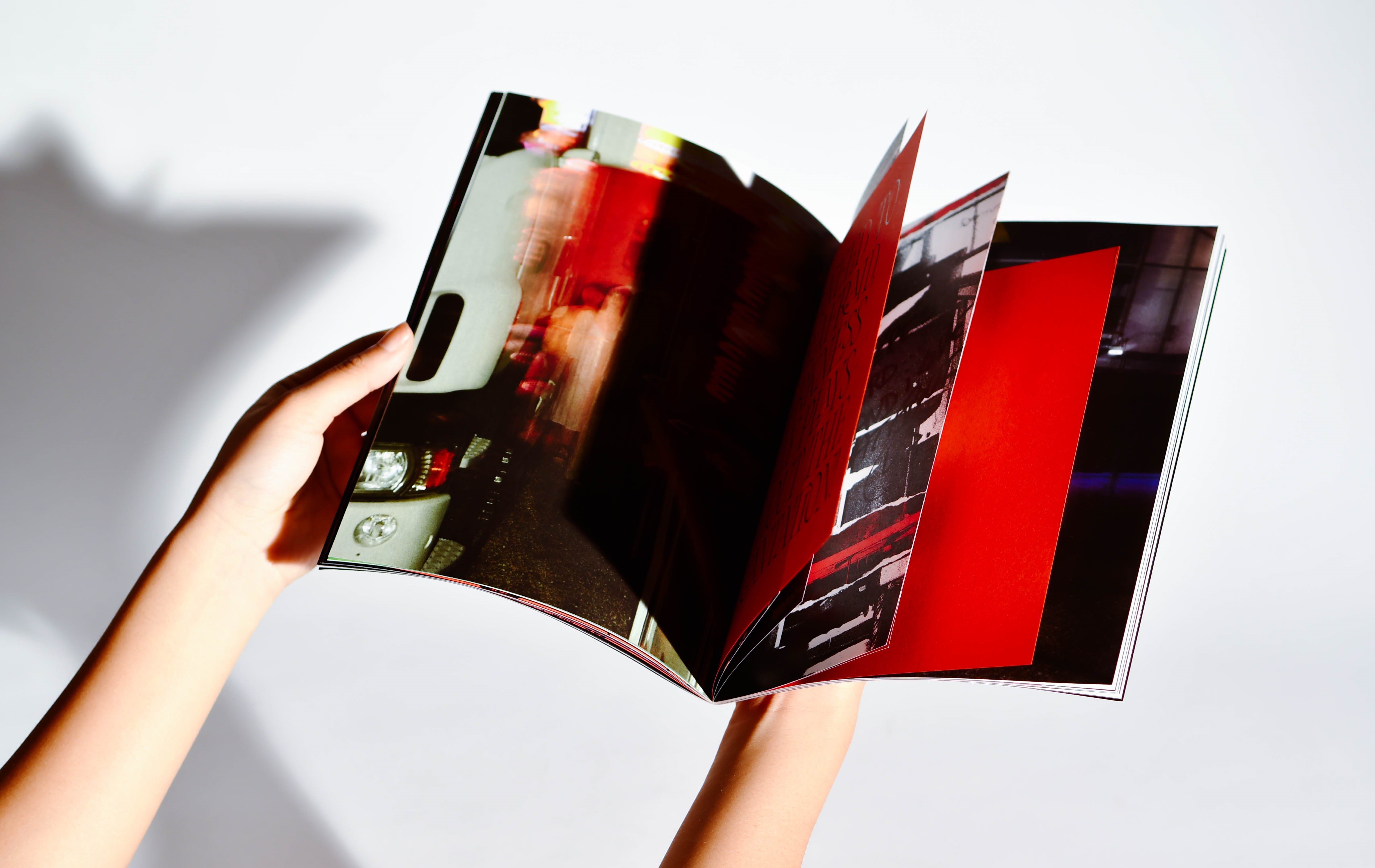 Here we are into the park