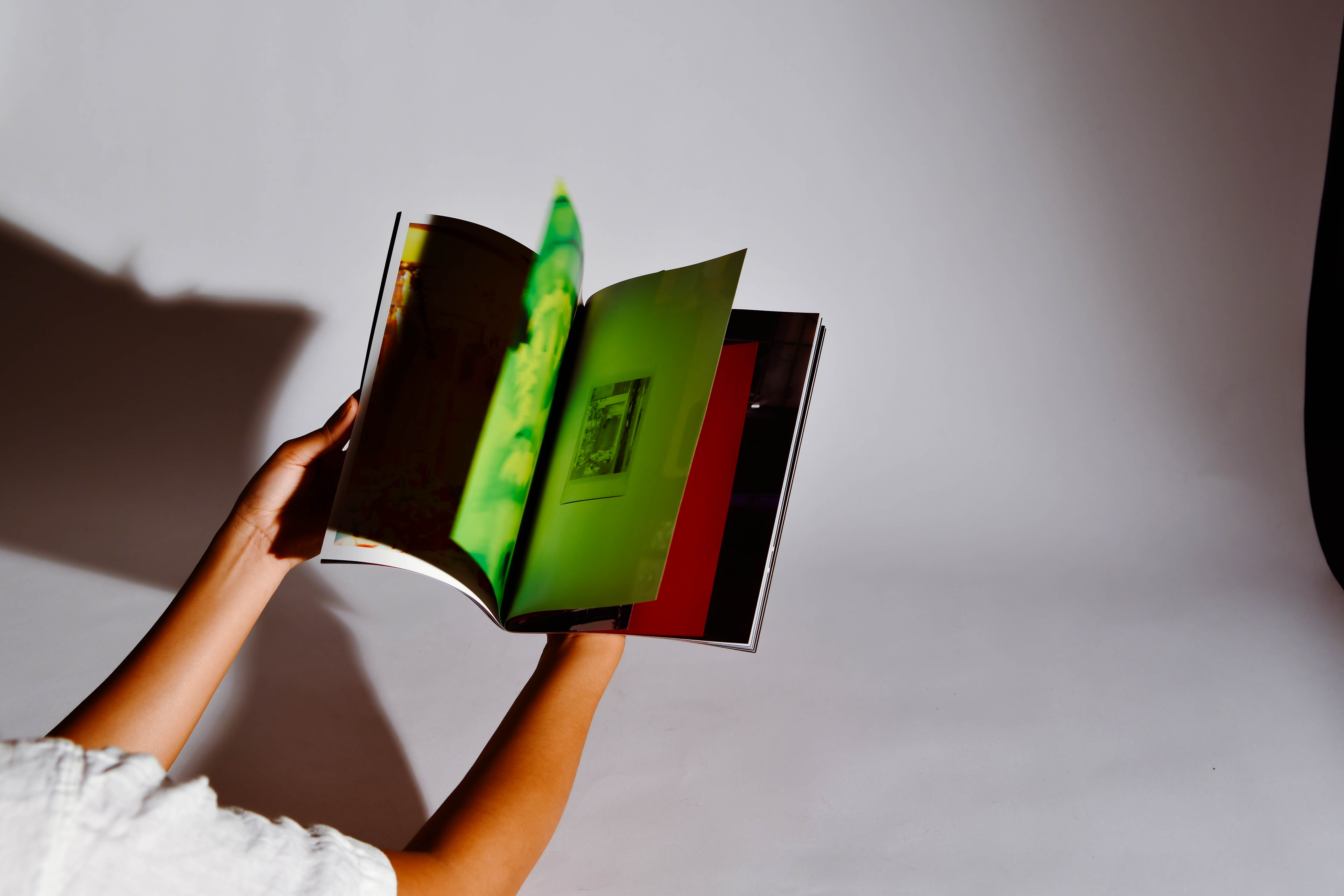 Here we are into the park